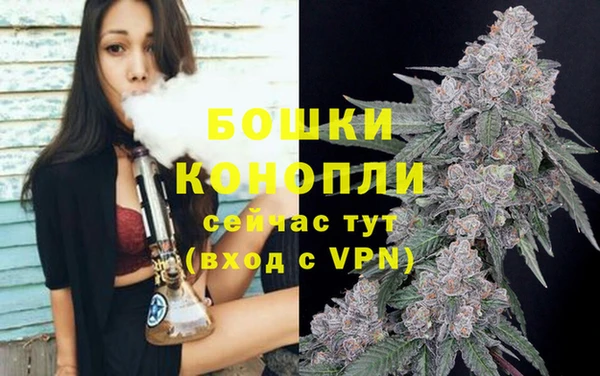 дживик Новый Уренгой