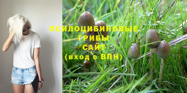 кристаллы Богородицк