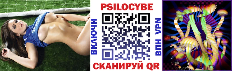 Галлюциногенные грибы Psilocybe  блэк спрут вход  Бор 