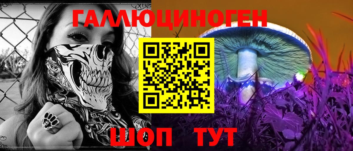 Галлюциногенные грибы Psilocybine cubensis Бор