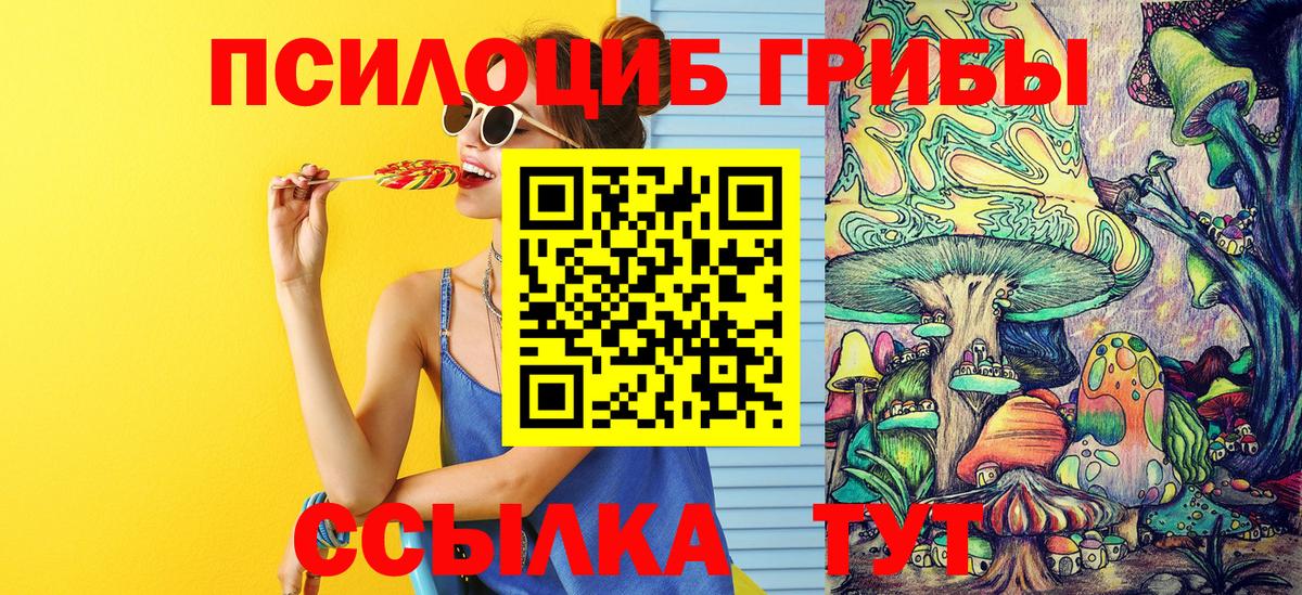 Галлюциногенные грибы Psilocybe  как найти   Бор  Вход с VPN 